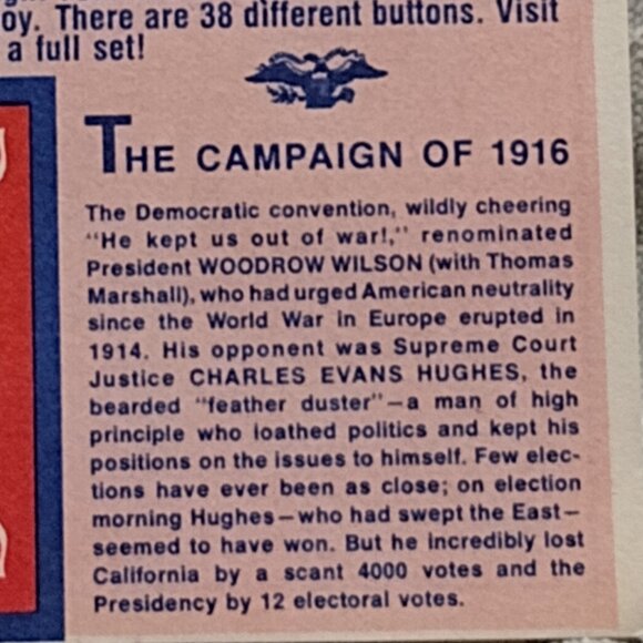 Hats Off To The Past - The Campaign of 1916 - Picture 4 of 5